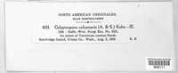 Calyptospora columnaris image